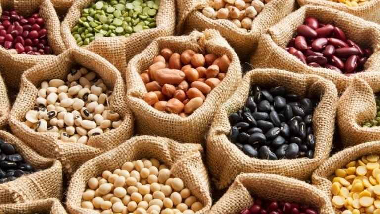 legumi tutto sui nutrienti e proprietà