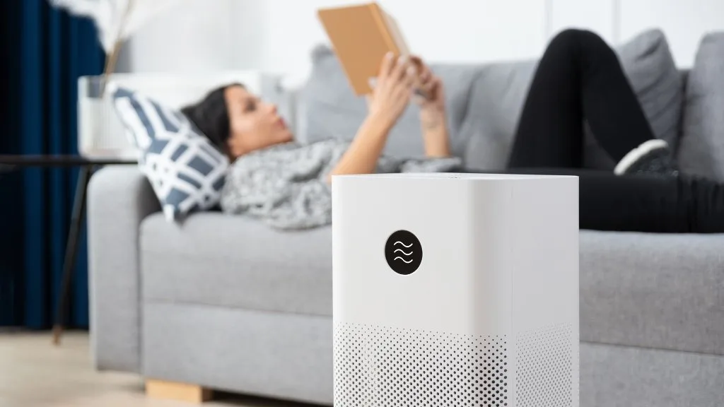 purificatore d'aroa come funzione perchè usarlo i migliori da acquistare