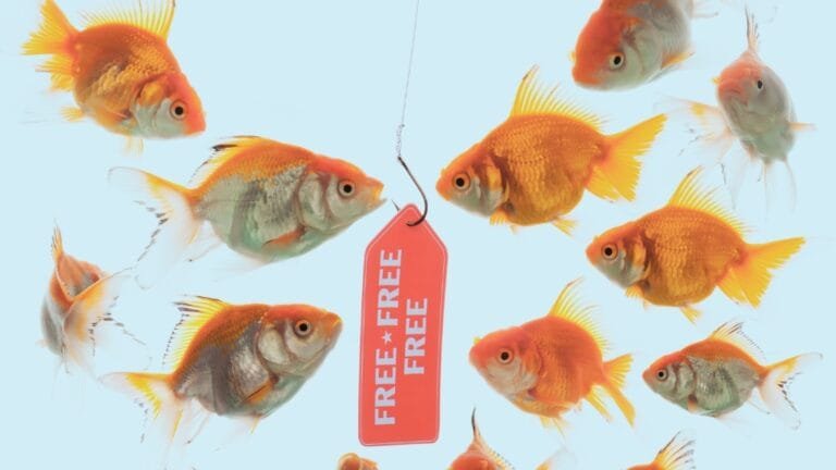 bait and switch la nuova truffa on line mostra prodotti troppo convenienti che poi non esistono