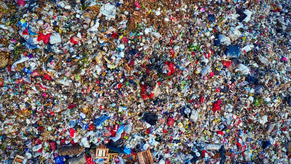 spreco alimentare in italia e nel mondo come combatterlo e cosa fare per ridurre lo spreco di cibo