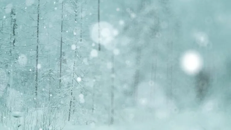 winter blues come affrontare la malinconia invernale e cos'è la depressione invernale cura e rimedi